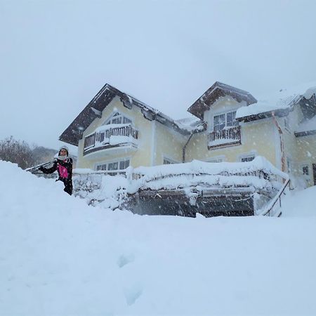 Ferienwohnung Nahe Fuschlsee, Hof Bei Salzburg Zewnętrze zdjęcie