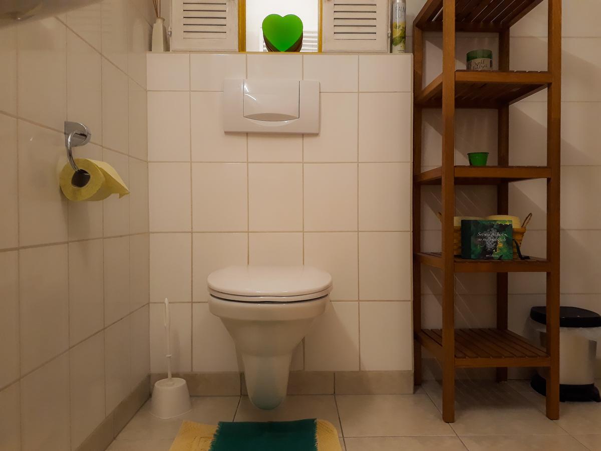 Ferienwohnung Nahe Fuschlsee, Hof Bei Salzburg Zewnętrze zdjęcie