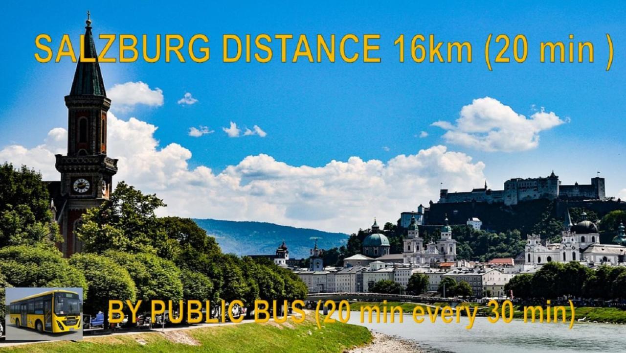 Ferienwohnung Nahe Fuschlsee, Hof Bei Salzburg Zewnętrze zdjęcie