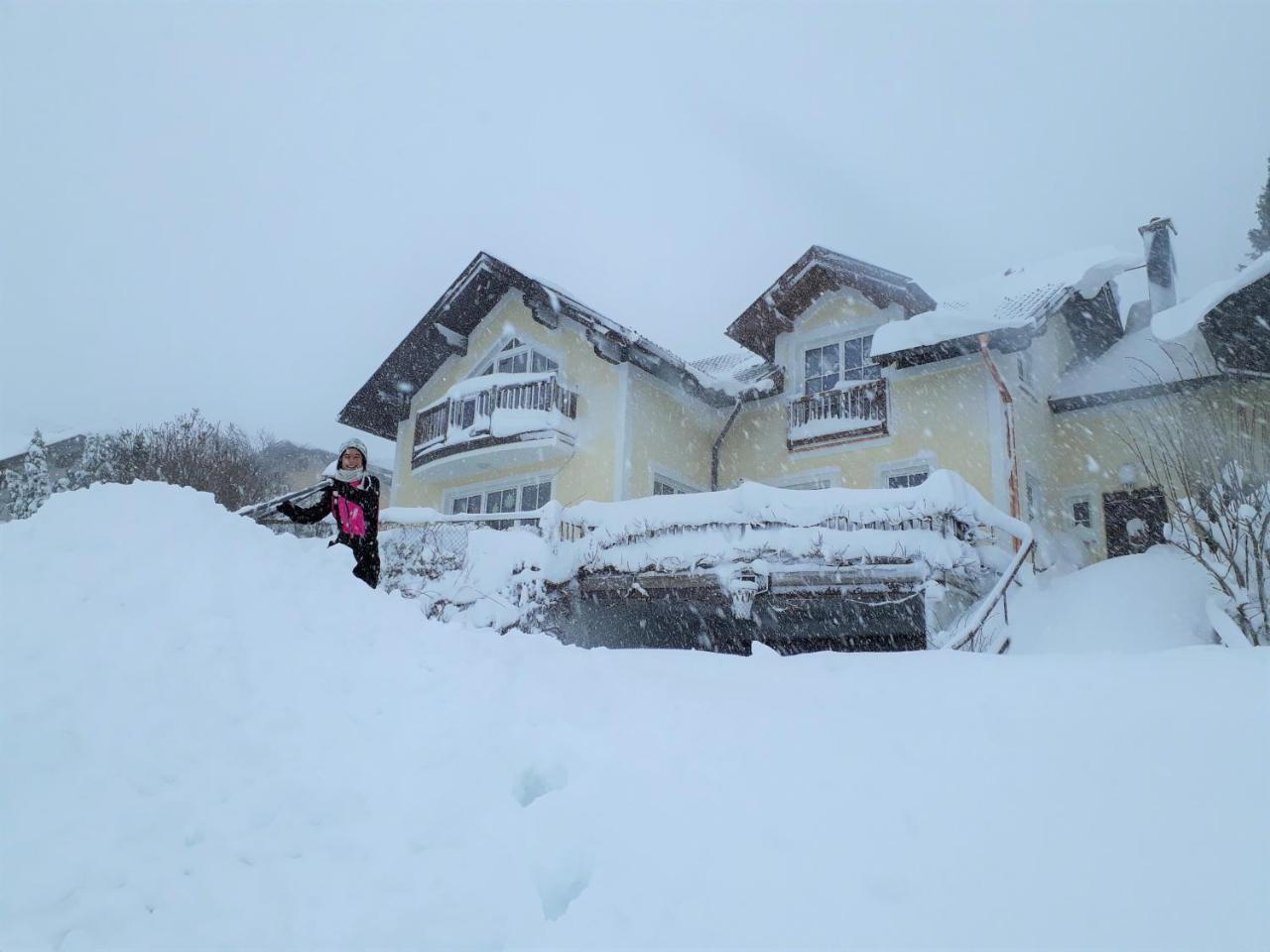 Ferienwohnung Nahe Fuschlsee, Hof Bei Salzburg Zewnętrze zdjęcie